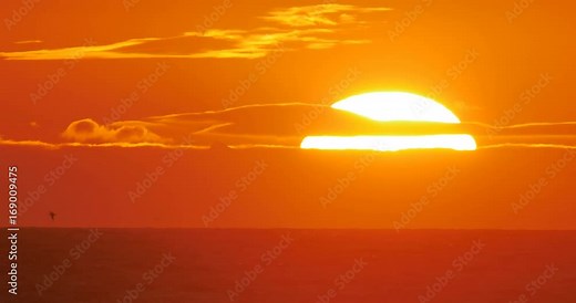 Brilliant sunset birds flying over ocean macro close up 4k