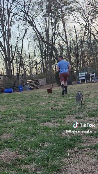 my best friend #babyemu #emu #farmlife #homestead | pet emu