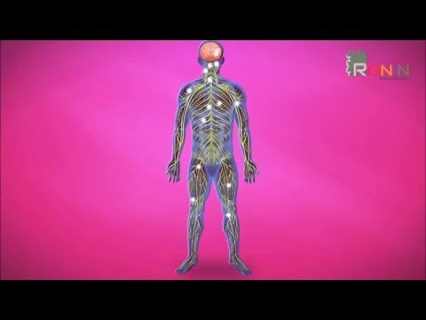 What is logical mathematical thinking…