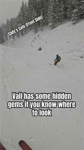 #ski #skiing #snowboard #snowboarding #snow #4k #mountains #winter #pov #travel #mountains #epic