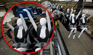 The rollercoaster that costs an arm and a leg: Thorpe Park's new £20m ride The Swarm has urgent redesign after dummies return from test run with limbs snapped off