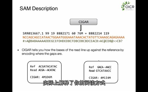 mapping reads 到参考基因组