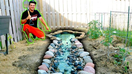 How I Built a Backyard Creek for My Pet Fish
