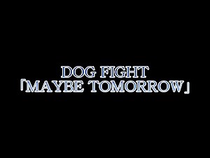DOG FIGHT-MAYBE TOMORROW