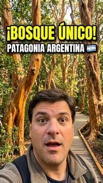 El bosque más extraño de la Patagonia #patagonia #naturaleza #shorts