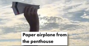 A Bird Chased a Paper Airplane Thrown From the 33rd Floor of a Building