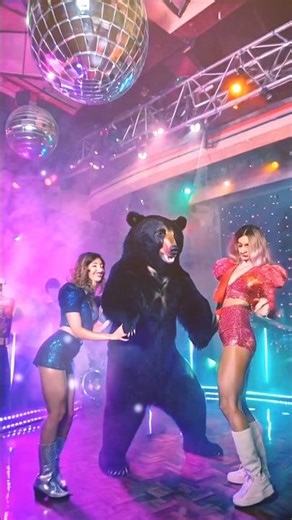 Push It! Bear's Wild 80s Dance Floor Takeover