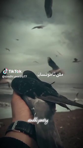 Sindhi Poetry Celebrating Our Heritage