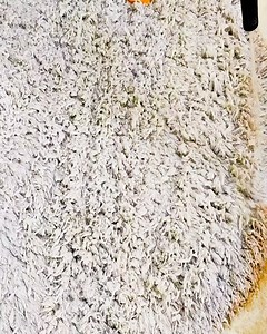 79K views · 359 reactions | Years of Dirt are Now Out (So cute carpet) #rug #carpet #satisfying #rugcleaning #carpetwashing #carpetcleaning #carpetpython | Awesome Carpet | Facebook