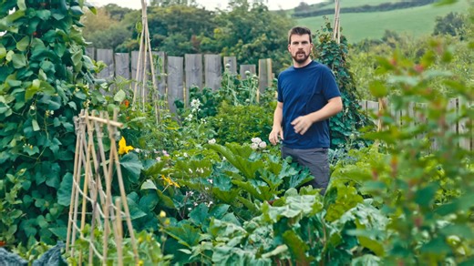 隐藏的永续农业原则（及其使用方法）