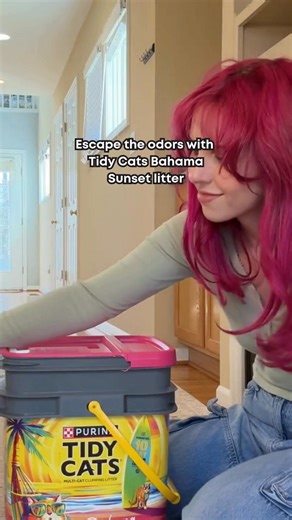 Enter for a chance to win a tropical escape to the Bahamas with Tidy Cats Bahama Sunset litter! | Purina Tidy Cats