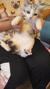 Crystal Chan on Reels