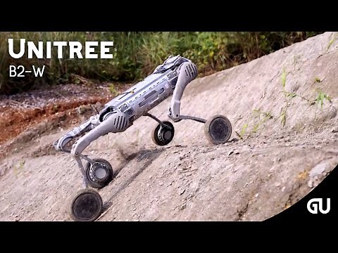 Unitree Unveils B2-W | The Most Intelligent Wheeled Quadruped Robot