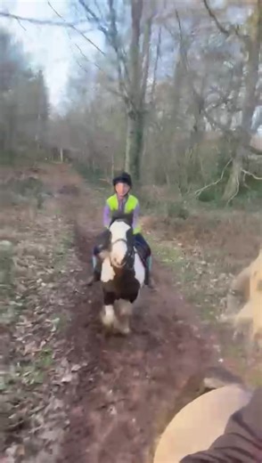 Ruby.Harry.forever3 on TikTok