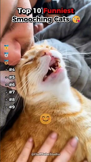 Top 10 Cutest Smooching Moments 🐱 #trollface