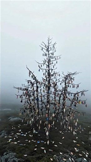 😨 The Island Covered With Thousands Of Dolls! #facts #mystery #shorts #amazingfacts