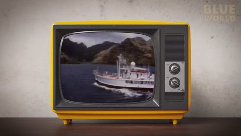 Divers visited Mexico's legendary Sea of Cortez and discovered an underwater world overflowing with life at every turn