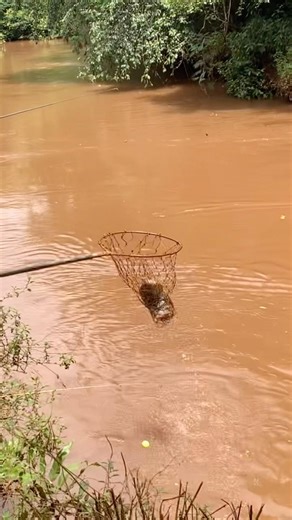 Muitas surpresas nessa PESCARIA 🐟👀