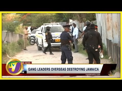 Gang Leaders Overseas Destroying Jamaica | TVJ News