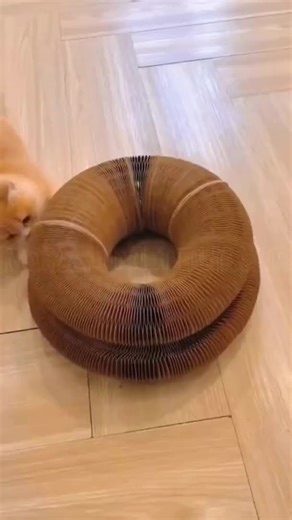 Cat Scratchers, Cardboard Cat Home, Foldable Scratch Pad for Indoor Cats, Cardboard Cat Spinner Toy for Claw Exercise & Play - Etsy