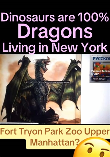 Proof Dragons are Real! #dragons #realdragons | dragons