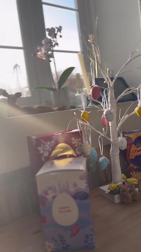 Goldhill Glamping on TikTok