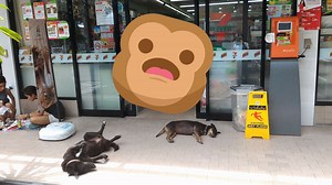 11 choses à savoir sur les 7-Eleven en Thaïlande (et tu vas être surpris)