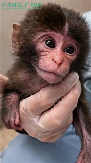 FAMILY NUI From his very first breath, he didn’t know it yet.