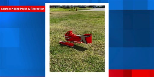 Duck, duck, goose: Moline unveils Goosinator aimed to deter geese from parks