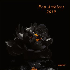 Various - Pop Ambient 2019
