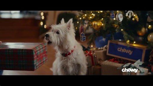 Chewy TV Spot, 'Cyber Monday: Dog Offer: Cyber ProPlan'
