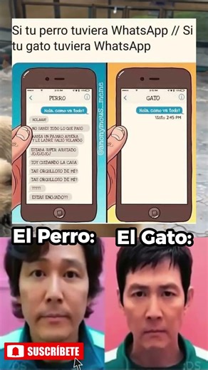 Si las mascotas usaran celular #short #meme #viral