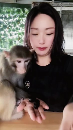 monkey20231102 on TikTok