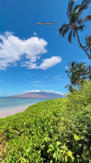 Maui, Hawaii#mauhawaii #maui #hawaii #fyp | Maui Hawaii