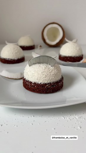 Recette de Dôme Noix de Coco Coeur Chocolat - Vidéo Montage