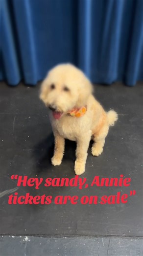 ANNIE TICKETS ARE ON SALE!! #anniethemusical #puppies #theapparts #fyp | annie the musical broadway