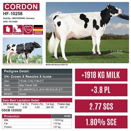 Genetics that Go Beyond High Milk Yield !