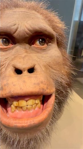 Smithsonian Museum of Natural History - First Faces