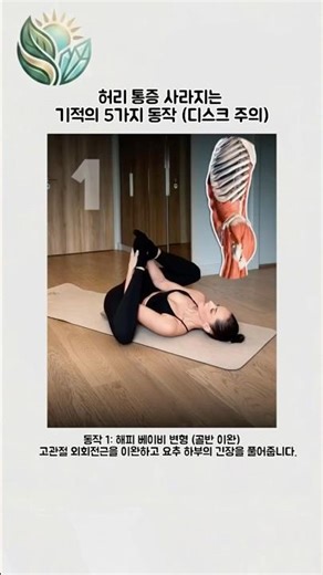 5 Miracle Exercises to Make Back Pain Disappear (Caution: Disc Risk)