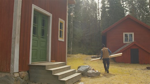 Springtime at the Cabin: A New Beginning