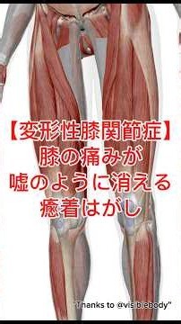 変形性膝関節症｜膝の痛みが嘘のように消えるストレッチ｜腰と膝と股関節の専門整体院ゴトゆき