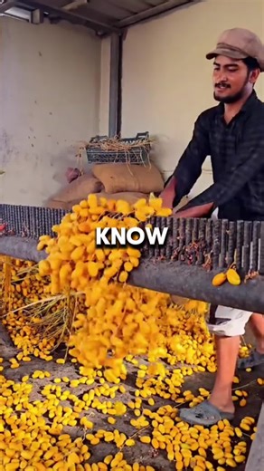 Jubal in the morning radio program