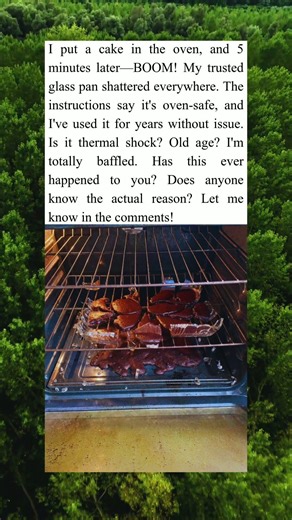 My Glass Pan Exploded in the Oven! Anyone Know Why 💥