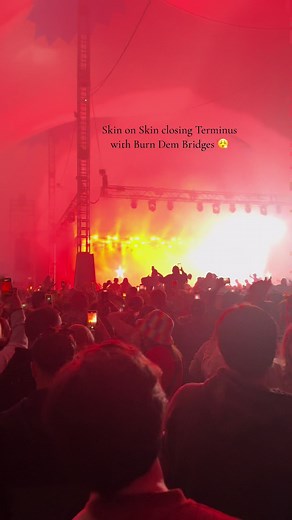 Skin on Skin - Burn Dem Bridges 🕺🏼 #electricpicnic #skinonskin