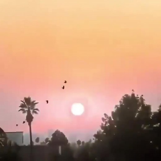 Exploring Science for Learning and Education on Instagram: "How explosion of the Sun would look like. source Jayhideaway (tt) - Tag someone"