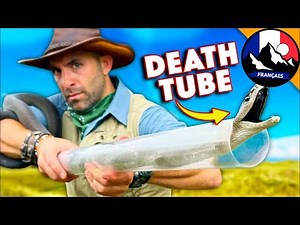 BLACK MAMBA : sauver le serpent le plus dangereux du monde | Brave Wilderness Français