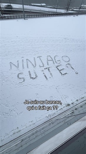 Les fans de Ninjago dès qu’il neige 😭 #ninjago #ninjagotok #legoninjago #humour