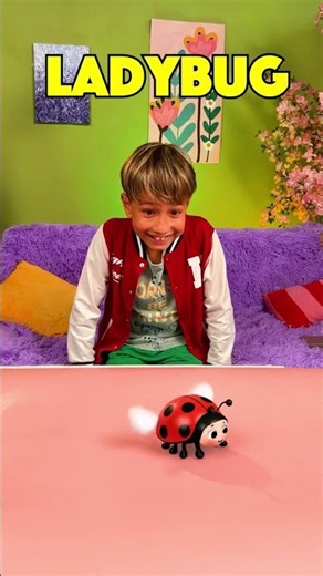 🐝🦋 Let’s See Why These Insects Matter in Nature! #shorts #kids