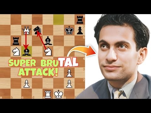 Tal's Super Brutal Attack!