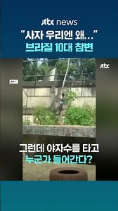 “거긴 왜 들어가서…” 사자우리 들어간 브라질 10대 참변 #JTBC #Shorts